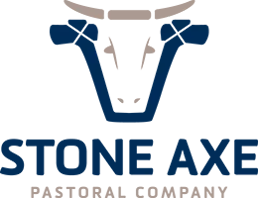 STONE AXE